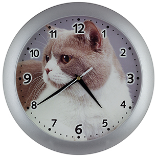 Kids wall clock Cat